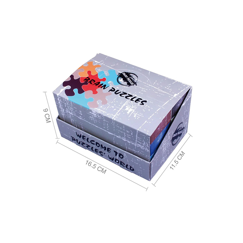 Rail Glide Metallic Cognition Challenger Puzzle