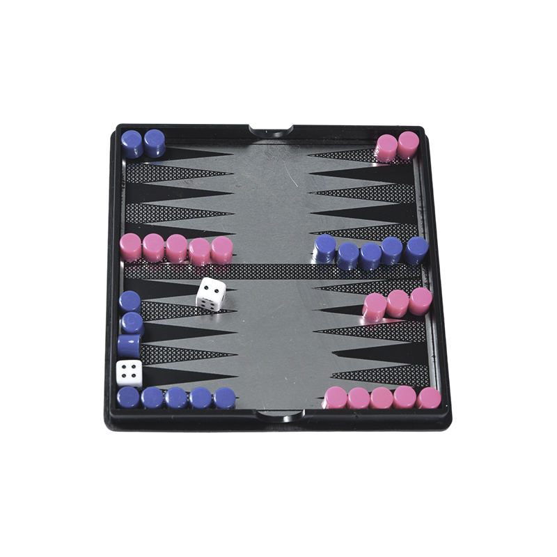 Compact Acrylic Case Magnetic Backgammon Set